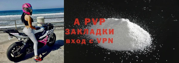прущий лед Богданович