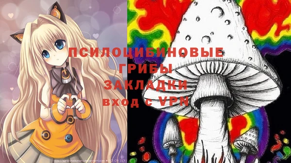 прущий лед Богданович