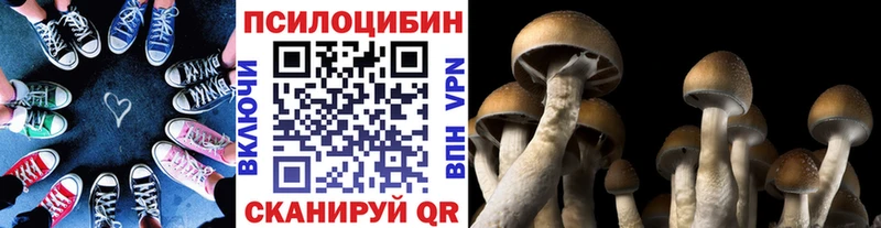 Псилоцибиновые грибы Psilocybine cubensis OMG зеркало Ессентукская закладки
